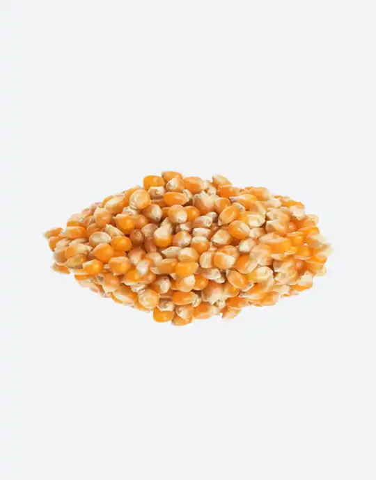 Popcorn Kernels